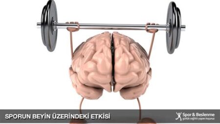 Spor ve Alzheimer: Düzenli Egzersizin Bellek ve Kognitif Fonksiyonlar Üzerindeki Etkisi