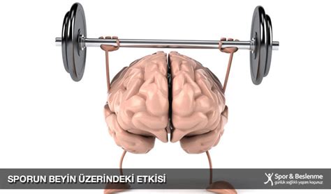 Spor ve Alzheimer: Düzenli Egzersizin Bellek ve Kognitif Fonksiyonlar Üzerindeki Etkisi